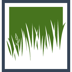 Lawn Turf Replacement Pros