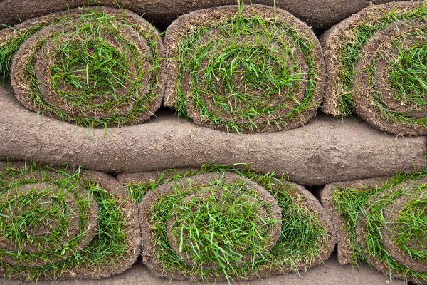 Grow your Lawn Turf Replacement business