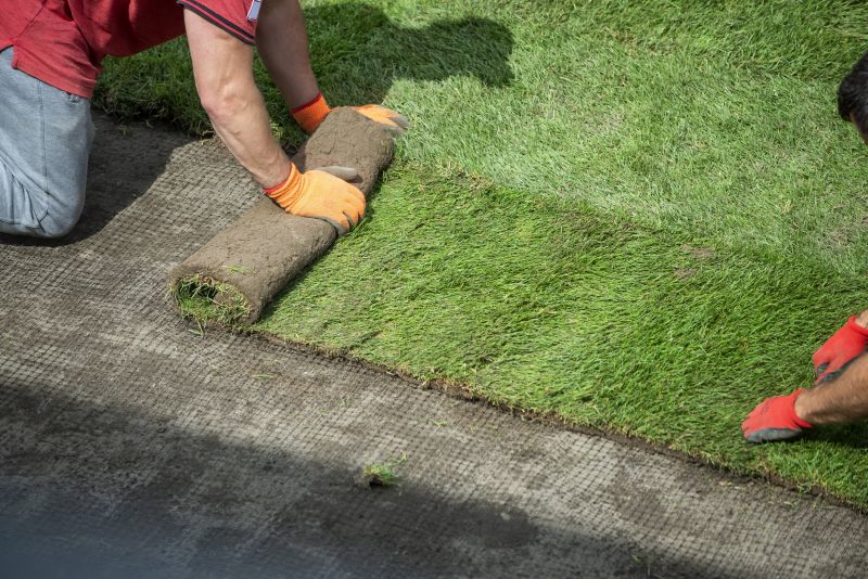 Lawn Turf Replacement