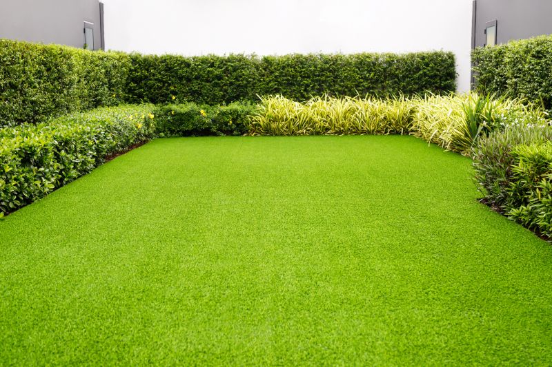 Lawn Turf Replacement