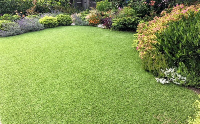 Lawn Turf Replacement