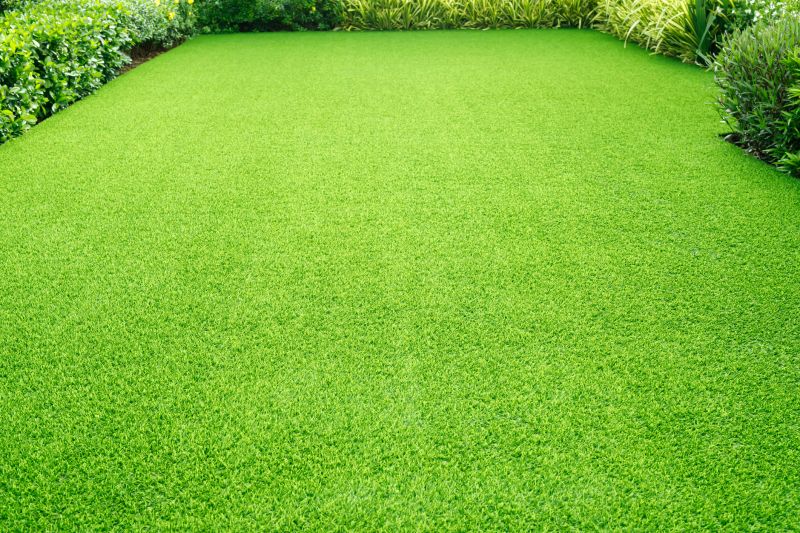 Lawn Turf Replacement