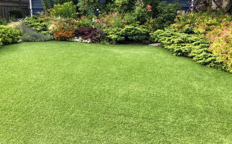 Lawn Turf Replacement