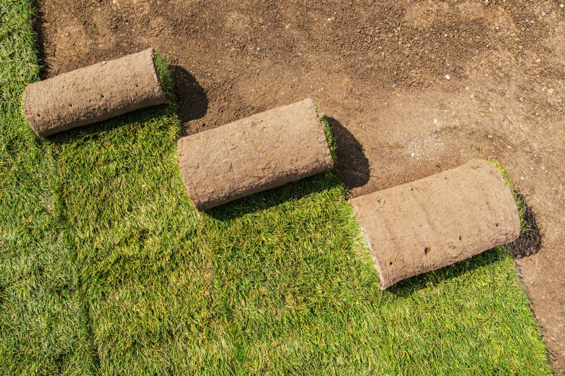 Why Sod Installation Is The Fastest Way To A Green Lawn
